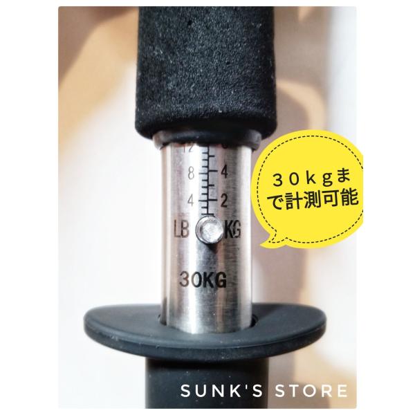 sunks-store_fish001_3