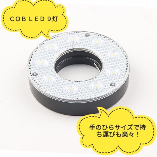 sunks-store_fish004_2