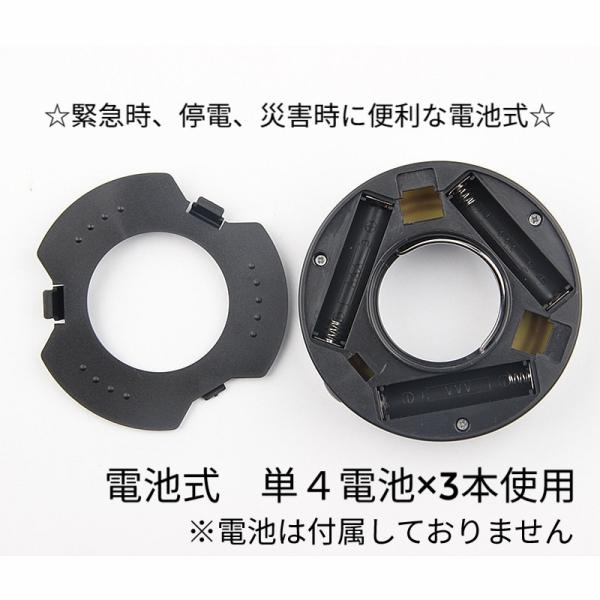 sunks-store_fish004_4