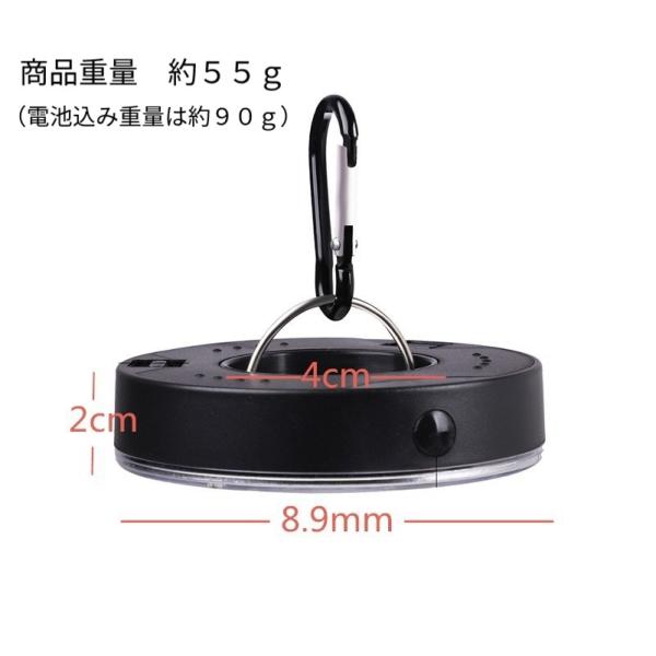 sunks-store_fish004_5