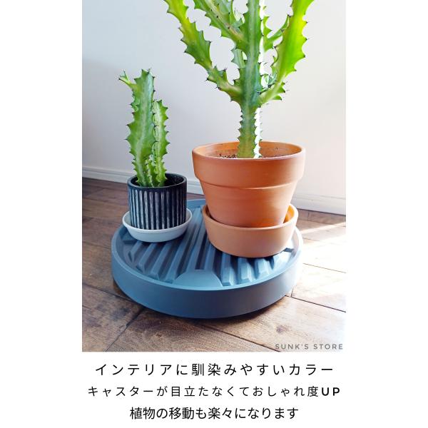 sunks-store_green001_3_d_20240220151218