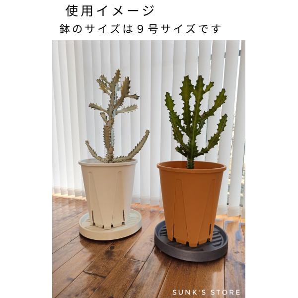 sunks-store_green001_4_d_20240220151303