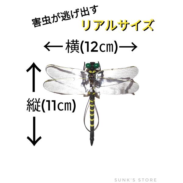 sunks-store_sot007_1_d_20230921224132