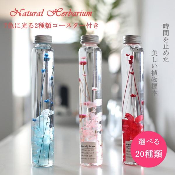 在庫処分プリザーブドフラワー ハーバリウム Led 7色に光るledコースター付き プリザーブドフラワー 誕生日 卒業お祝い 記念日 母の日 父の日 ギフト Buyee Buyee Japanese Proxy Service Buy From Japan Bot Online