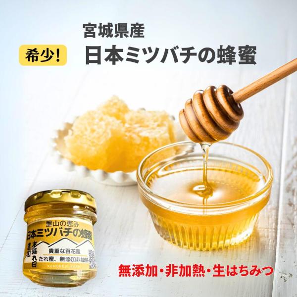 2個セット 日本ミツバチ 国産はちみつ 送料無料 数量限定 宮城県