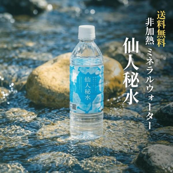 仙人秘水 500ml×24本 送料無料 弱アルカリ性 非加熱 ミネラルウォーター 天然水 国産 food