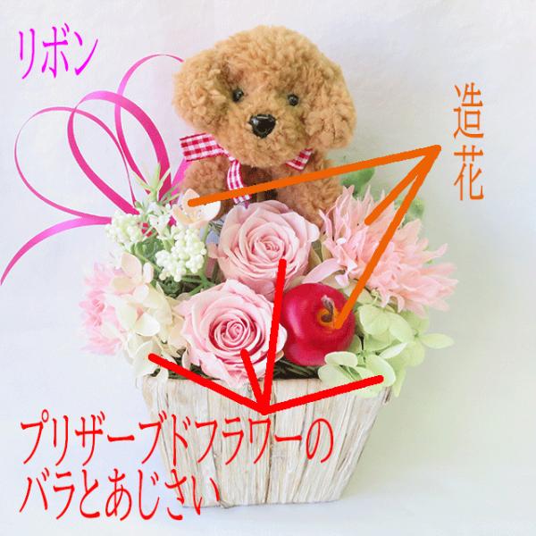 花 プレゼント 誕生日プレゼント 花 女性 プレゼント 誕生日 フラワーアレンジメント プリザーブドフラワー バラ お祝い花 Buyee Buyee Japanese Proxy Service Buy From Japan Bot Online