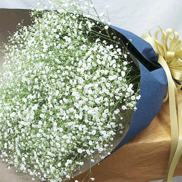 かすみ草 花束 送料無料 Kasumi Hanataba 花 誕生日プレゼント サンモクスイ 通販 Yahoo ショッピング