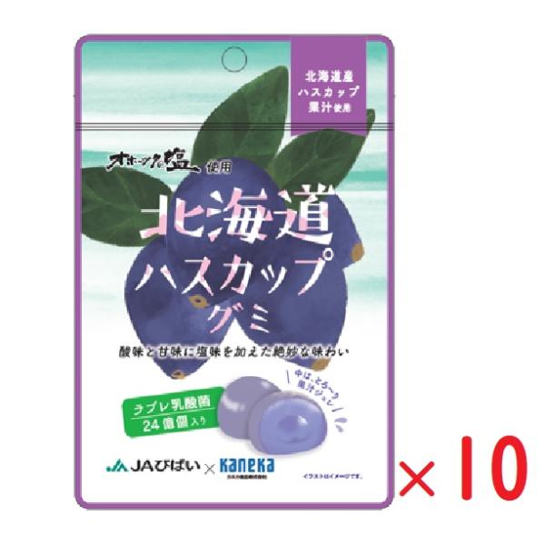 他サイト： ネコポス カネカ食品 北海道ハスカップグミ 果汁グミ ラブレ乳酸菌入り 40g×10袋 グミ 人気 大容量の商品画像