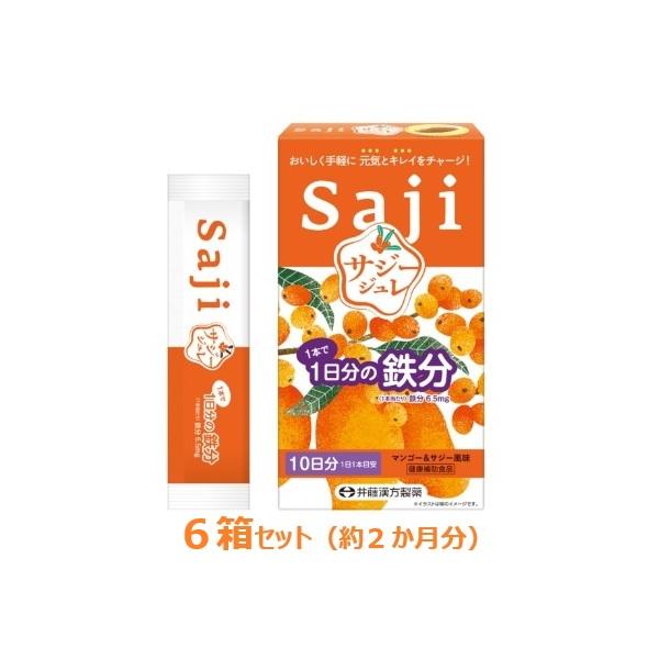 サジージュレ 1日分の鉄分 15g×10本入り×6箱 約2か月分 サジー果汁配合 健康補助食品 井藤漢方 マンゴー サジー