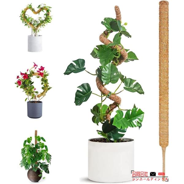 【植物を成長させ、より魅力的にするのに役立つモンステラ 支柱】：本モスポールは屋内ガーデニングのための効率的なツールです。 これらは、モンステラ、フィロデンドロン、ポトスなどのつる性の植物に一般的に使用されるヘゴ支柱の一種です。 自然の生息...