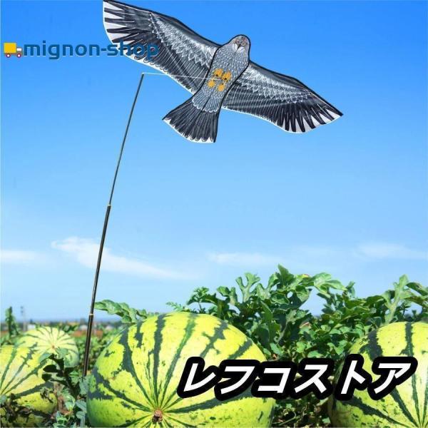 鳥よけ カイト 鷹 軽量丈夫 防鳥具 鳥追い 畑 植物保護 農業用 カイト鷹 1.8m凧
