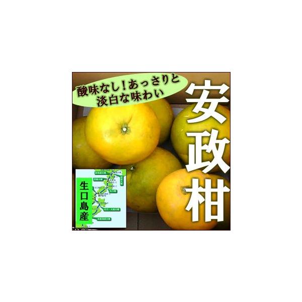 安政柑 あんせいかん 約7kg 送料無料 訳あり Buyee Buyee Japanischer Proxy Service Kaufen Sie Aus Japan