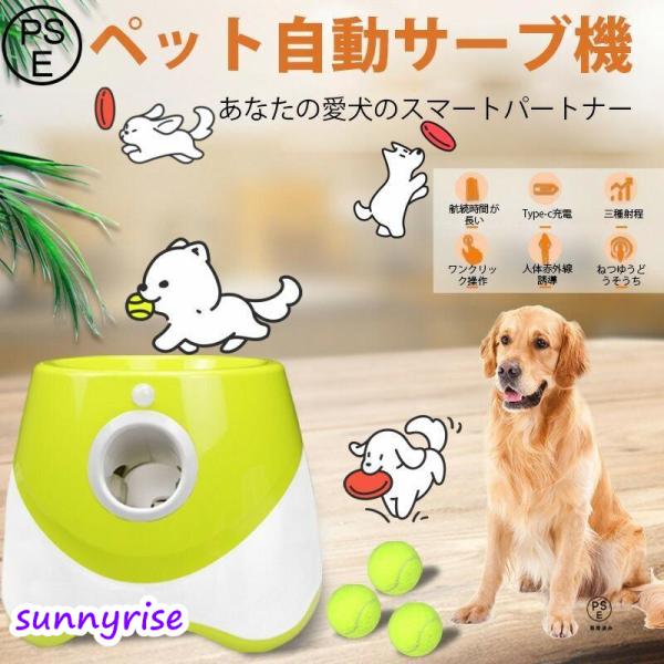 Rストアへようこそ！