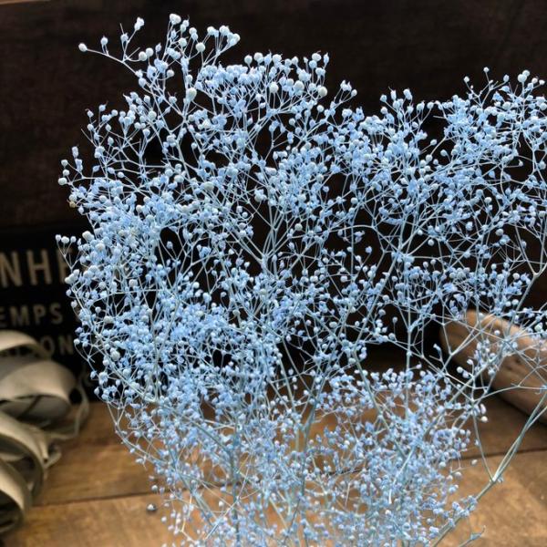 かすみ草 ラベンダー ドライフラワー 10g 花材 ハンドメイド