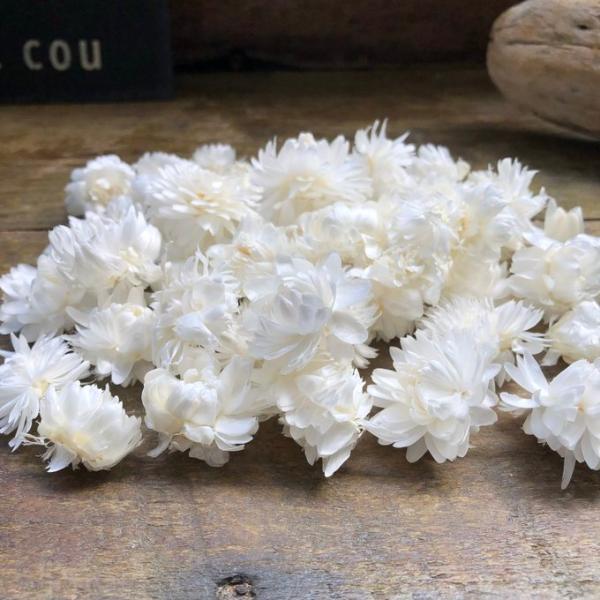 ヘリクリサム・ヘッド 白（ドライフラワー花材） 10g ハンドメイド