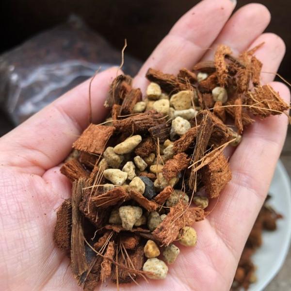 《商品内容》今話題で、植物を大きく育てたい人にぴったりの土販売いたします！『ねこチップSサイズ』の小分けタイプです。（1袋２リットル入り）数量変更でたくさんご購入も可能です。ねこチップ(S)：旧アントニオ・材料：ココチップ：軽石= 2：1ね...