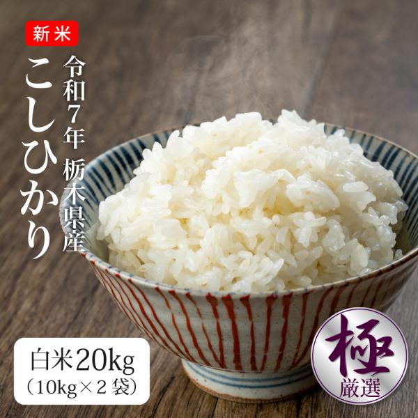 コシヒカリ 米 20kg お米 送料無料 新米 令和7年 白米 栃木県産