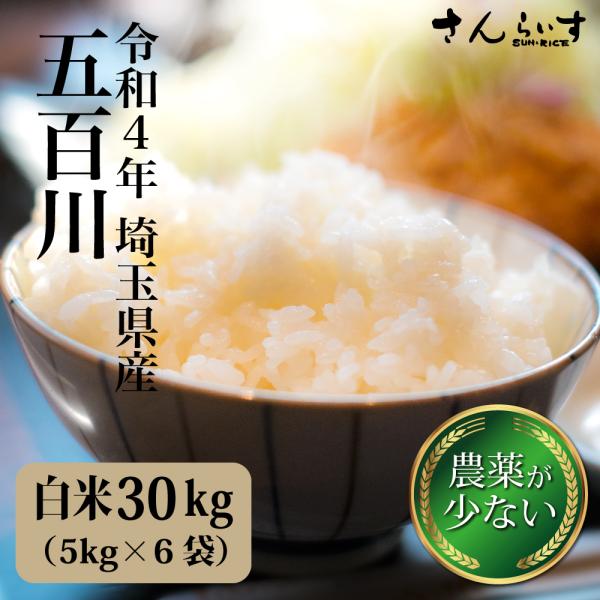 米 お米 30kg 五百川 新米 令和3年（5kg×6袋）埼玉県産 農薬が少ないお米 送料別