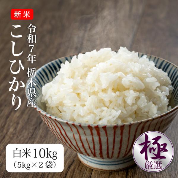 お米 10kg 米 こしひかり 新米 令和7年 5kg×2袋 栃木県産 送料別