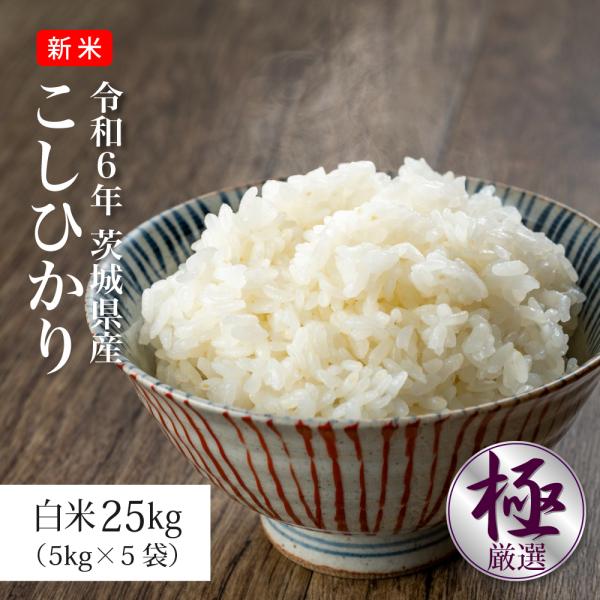 コシヒカリ お米 25kg 米 こしひかり 新米 令和6年 5kg×5袋 茨城 コシヒカリ お米 25kg 米 こしひかり 新米 令和6年 5kg×5袋 茨城