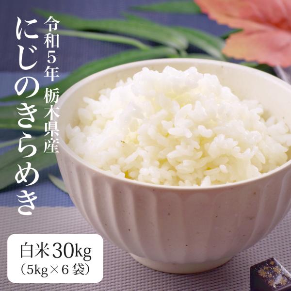 米 お米 30kg にじのきらめき 新米 令和3年（5kg×6袋）業務用米 まとめ買い 栃木県産 離島不可