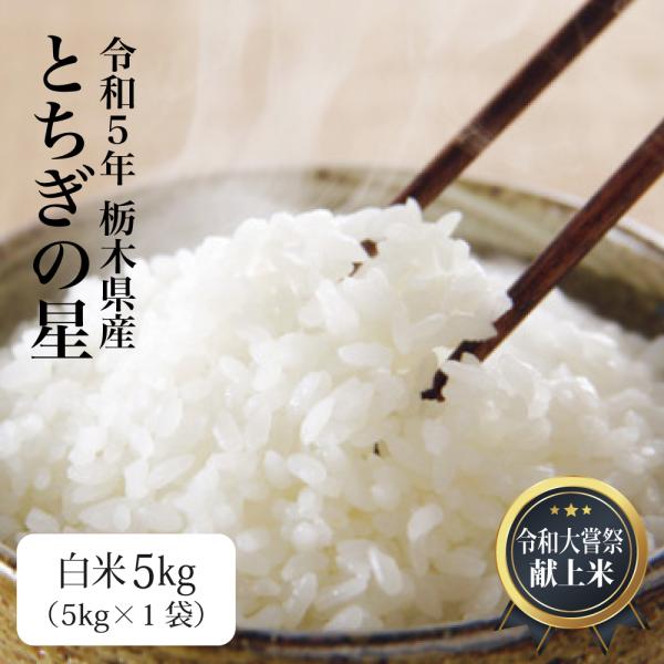 米 5kg お米 とちぎの星 送料無料 新米 令和3年 栃木県産（北海道・九州+300円）