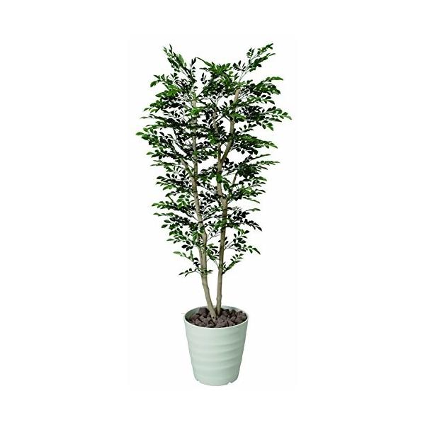 Eternity トネリコ1 8m人工観葉植物 観葉植物 Sunrise Sunrise 光触媒