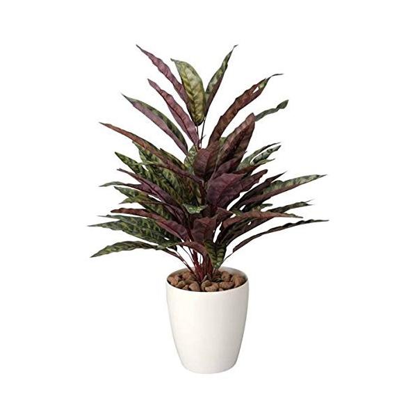 観葉植物 フェイクグリーン ピーコック 日本製 光触媒 消臭 抗菌 ホルムアルデヒド対策 光の楽園 リビング 生活用品 インテリア Sieuthicongtrinh Vn