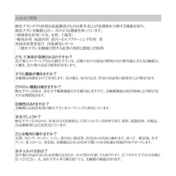 光の楽園 セローム1 0m 376a1 Prettyfunnyballoons Com
