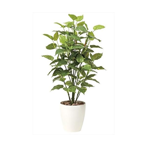 光触媒 光の楽園 ポトスインテリアグリーン 人工観葉植物 幅500mm 奥行500mm 高さ1000mm Www Arilab Com Tr Index Php