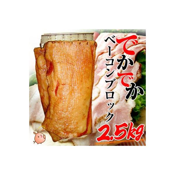 Ε Ε 2025 Mtg x[R 2.5kg Y