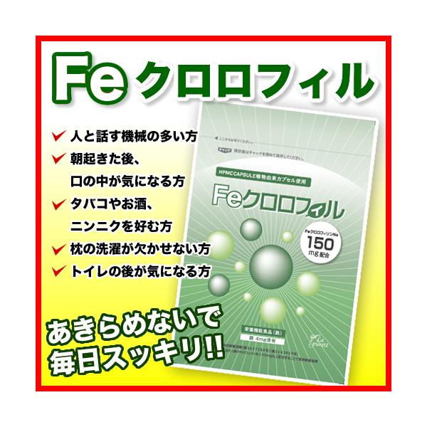 気になるニオイ対策 消臭サプリ Feクロロフィル 送料無料