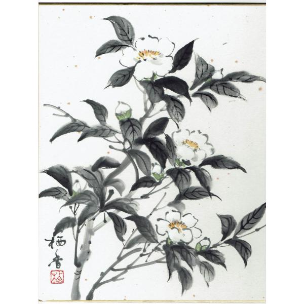水墨画 色紙 花 風景画 夏椿 哀愁の一日花 柳澤栖香 色紙 約２５ｃｍｘ約２８ｃｍ 送料無料 サンライズshop H B ヤフー店 通販 Yahoo ショッピング