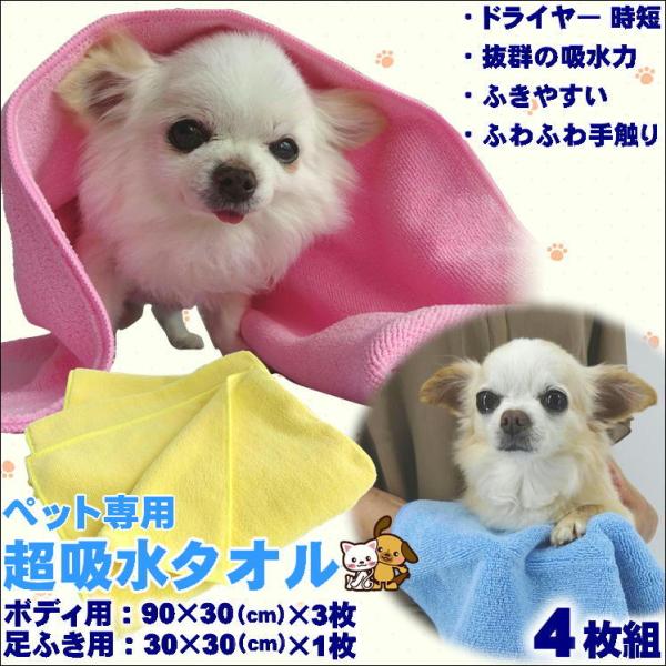  L Vv[ ^I ybgp^I  oX^I Ck lR C z^I }CNt@Co[ z ^I dog cat  ֗ ObY