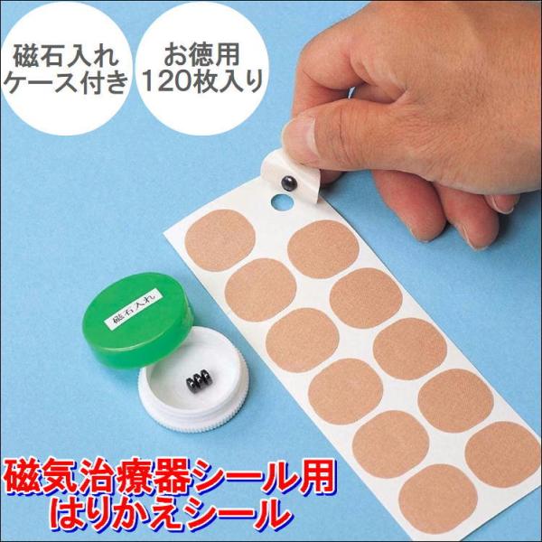 C CV[ Co ͂肩 ΃P[Xt 120 ֗ ObY      ₦ s P c{ { CÊ \ւV[