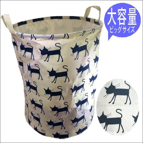 h[BOX 󕨓  LObY lR w