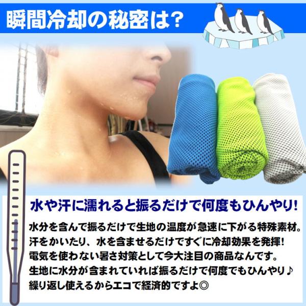 �⊴�^�I�� �唻 �X�|�[�c �Ђ���^�I�� �l�b�N�N�[���[ ���� �M���Ǒ΍�O�b�Y ���Ă��΍� �� ��p �^�I�� �_��� �֗��O�b�Y �X�[�p�[ �N�[���^�I�� 3���g�@ ���i�摜5