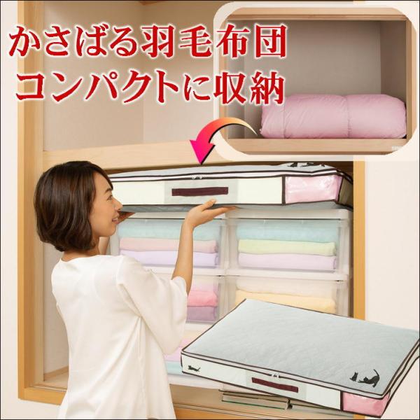 zck |@sv VO zc P[X YL Hѕzc[ 1 ɂ zR ΍ ֗ ObY   ꂵ 킢 lR ACe