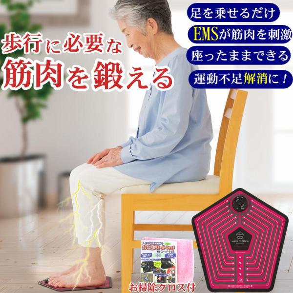 高齢者 運動器具 自宅 室内 座ったまま トレーニング シニア