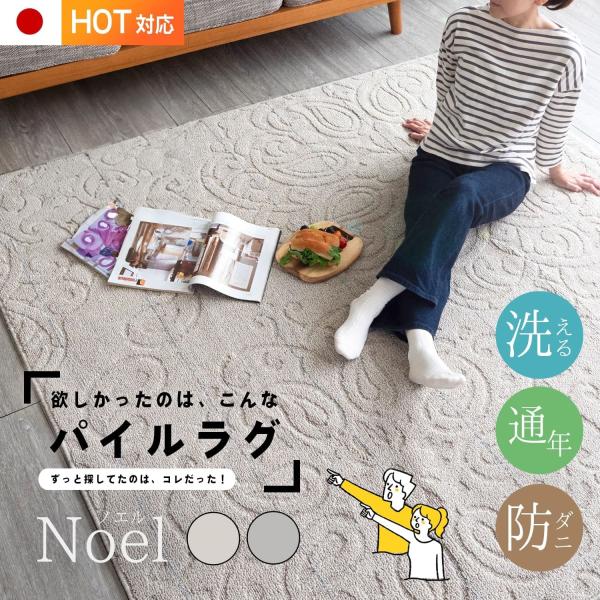 万能 洗える ラグ Noel ノエル 選べる3サイズ 日本製 防ダニ 床暖対応 軽量 遊び毛防止 オールシーズン ホットカーペット対応 マット 絨毯 スミノエ