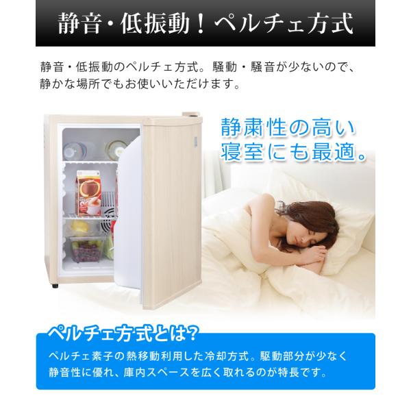 冷蔵庫 1ドア 48l 一人暮らし ペルチェ方式 木目調 小型 おしゃれ 1ドア冷蔵庫 小型冷蔵庫 ミニ冷蔵庫 右開き 静音 新生活 一人暮らし用 Sunruck Buyee 日本代购平台 产品购物网站大全 Buyee一站式代购 Bot Online