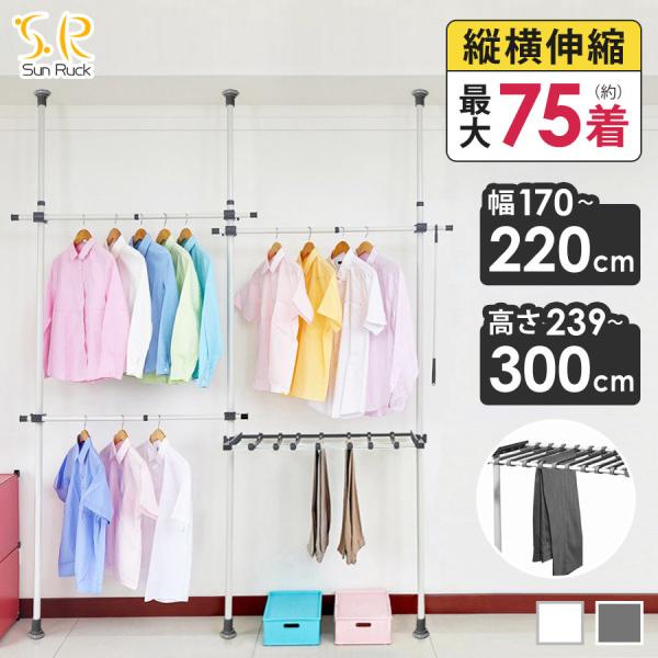 アウトレット 訳あり つっぱり棒 2段 耐荷重100kg 伸縮 高さ調節 ハンガーラック 縦 突っ張り棒 ポールハンガー 省スペース SunRuck SR-TH02SL SR-TH03SL 爆買