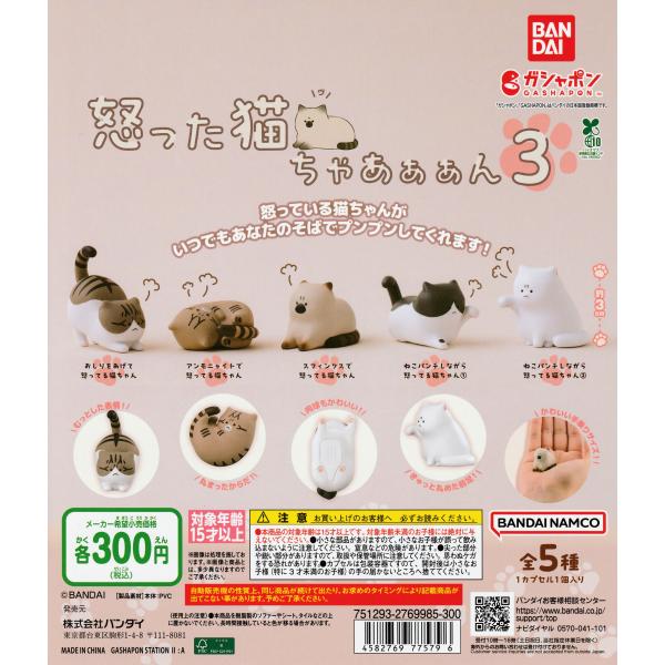 ねこちゃ出品 怒った猫ちゃあぁぁん3 [全5種セット フルコンプ] ガチャガチャ