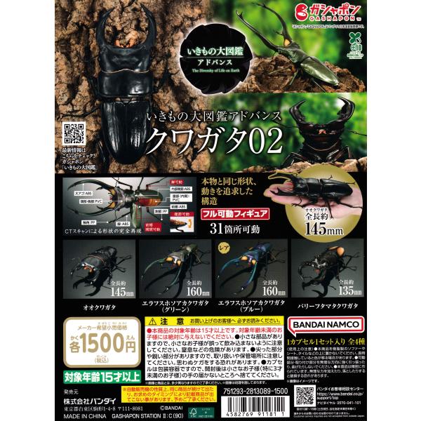 いきもの大図鑑アドバンス クワガタ02 [レア含む全4種セット