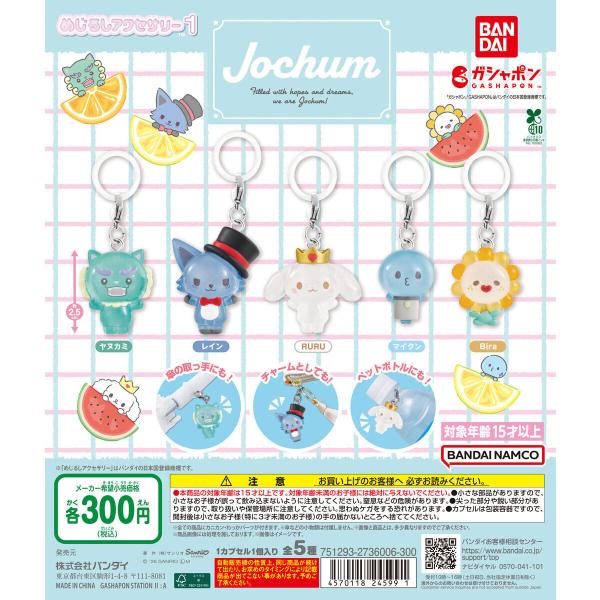 JOCHUM めじるしアクセサリー1 【全5種 コンプリート セット