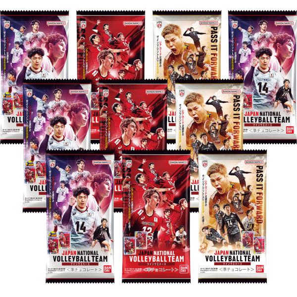 JAPAN NATIONAL VOLLEYBALL TEAM ツインウエハース バラ売り10個セット】JAPAN NATIONAL VOLLEYBALL TEAM ツイン