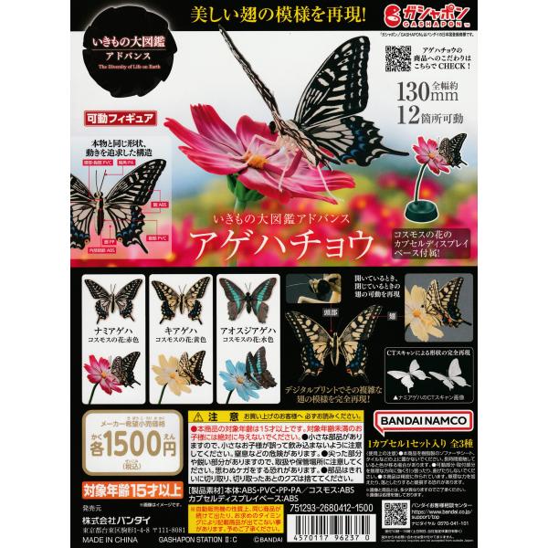 suns-online-store_oh-rj1h-g1c4