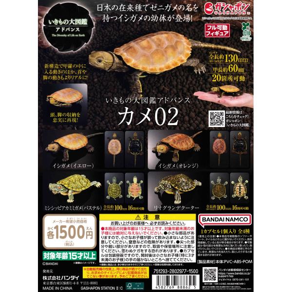 カメ　1500枚 suns-online-store_ov-mu3u-oi0v