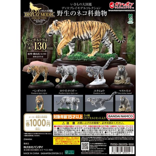 いきもの大図鑑ディスプレイモデルコレクション 野生のネコ科動物